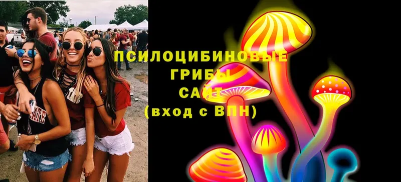 наркотики  Воскресенск  Галлюциногенные грибы MAGIC MUSHROOMS 